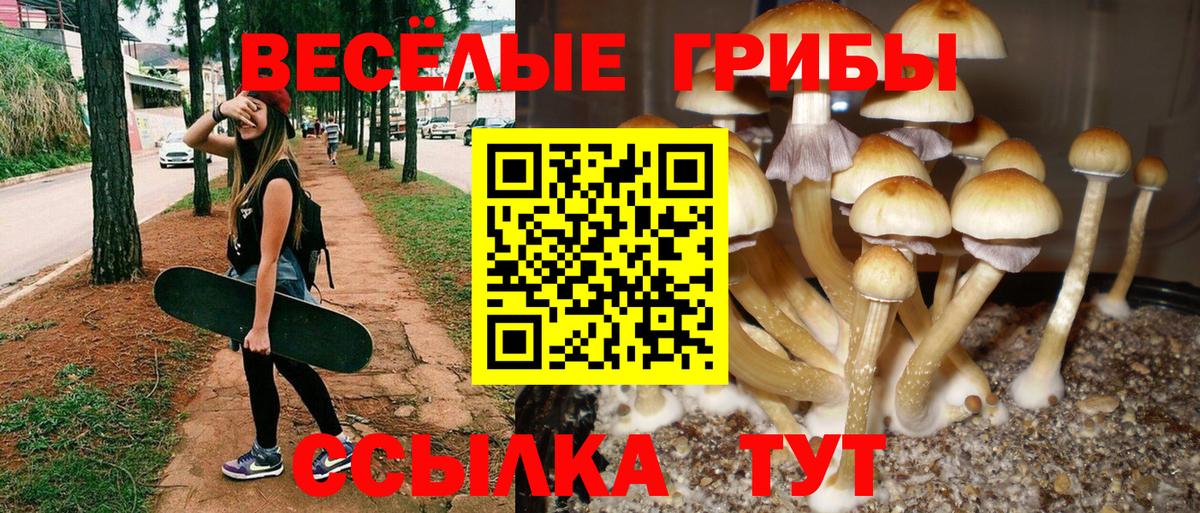 Галлюциногенные грибы GOLDEN TEACHER Тихвин