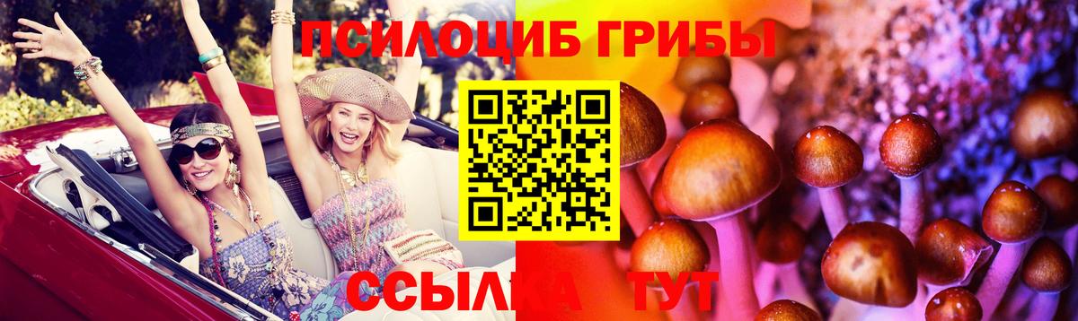 Псилоцибиновые грибы MAGIC MUSHROOMS  Галлюциногенные грибы прущие грибы  Тихвин  Вход с VPN 